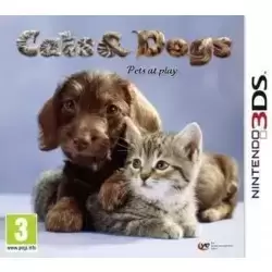 Cats & Dogs : Pets at Play