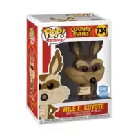Wile E Coyote & Road Runner 2 Pack