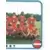 Equipe (puzzle 2) - Stade Brestois