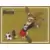 UEFA Euro 1988 - Berni