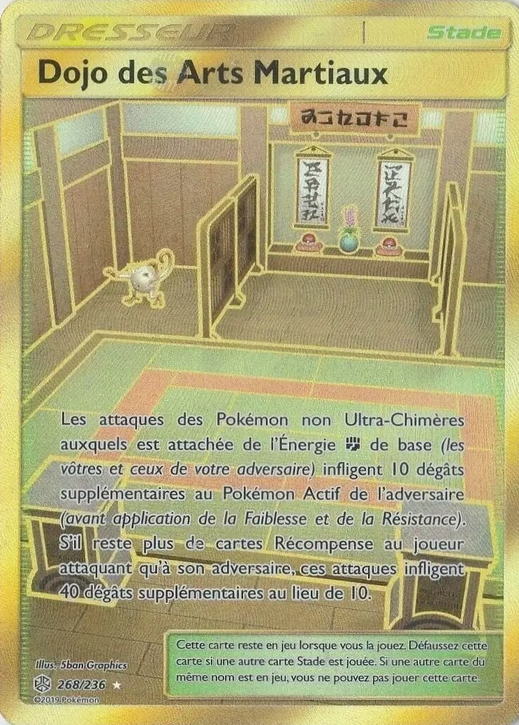 Éclipse Cosmique - Dojo des Arts Martiaux