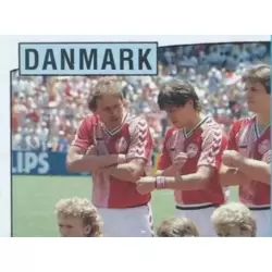 Team Denmark 1/4
