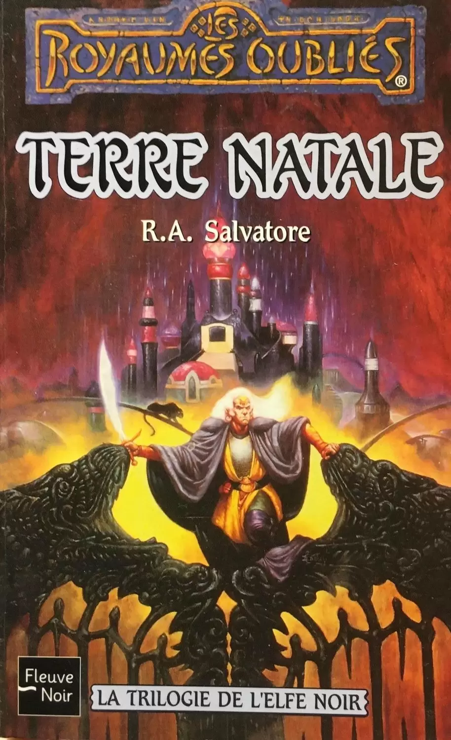 Les Royaumes Oubliés - Terre Natale