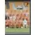 Equipe (puzzle 2) - Stade Lavallois Mayenne FC
