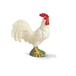 Coq blanc