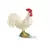 Coq blanc