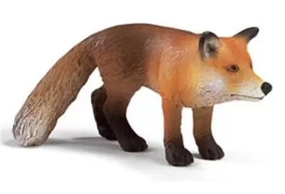 Wild Life - Renard