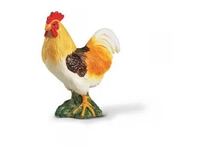 Farm World - Coq couleur