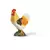 Coq couleur