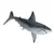 Requin blanc