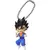 UDM Burst 13 - Vegeto