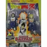 Secret Saiyan Warriors - Vegeta & S.S. Vegeta