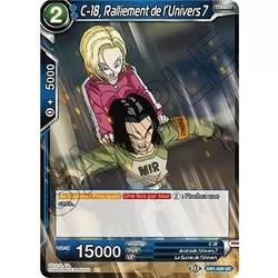 C-18, Ralliement de l'Univers 7