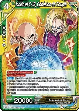 Dragon Brawl [DB1] - Krillin et C-18, Cohésion de Couple