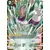 Magnificent Collection Fusion Hero [EX07] - Paragus, l\'Aïeul