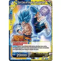 Son Goku et Vegeta, Liens Saiyans