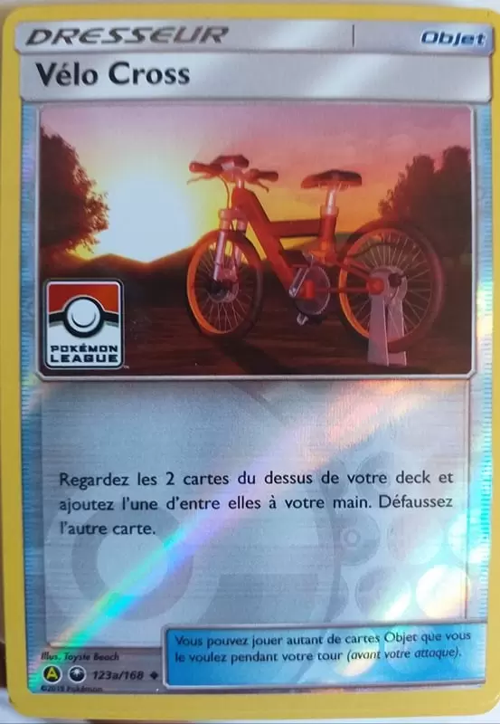 Cartes Pokémon Alternatives - Vélo Cross Reverse