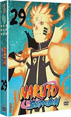 Naruto & Naruto Shippuden - Naruto Shippuden, volume 29