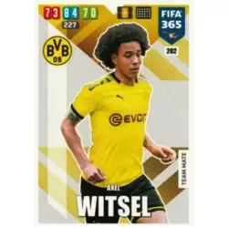 Axel Witsel - Borussia Dortmund