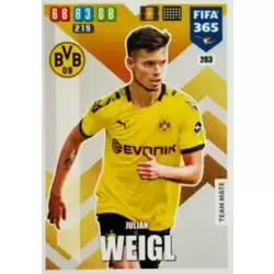 Julian Weigl - Borussia Dortmund