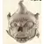 Boule de Feu Furieuse