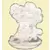 Secret Potion