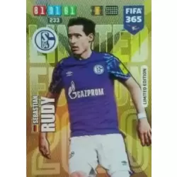 Sebastian Rudy - FC Schalke 04