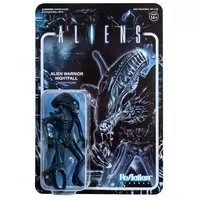 Aliens - Alien Warrior Nightfall Blue