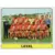 Team - Stade Lavallois
