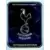 UEFA Champions League 2010-2011 - Tottenham Hotspur Badge