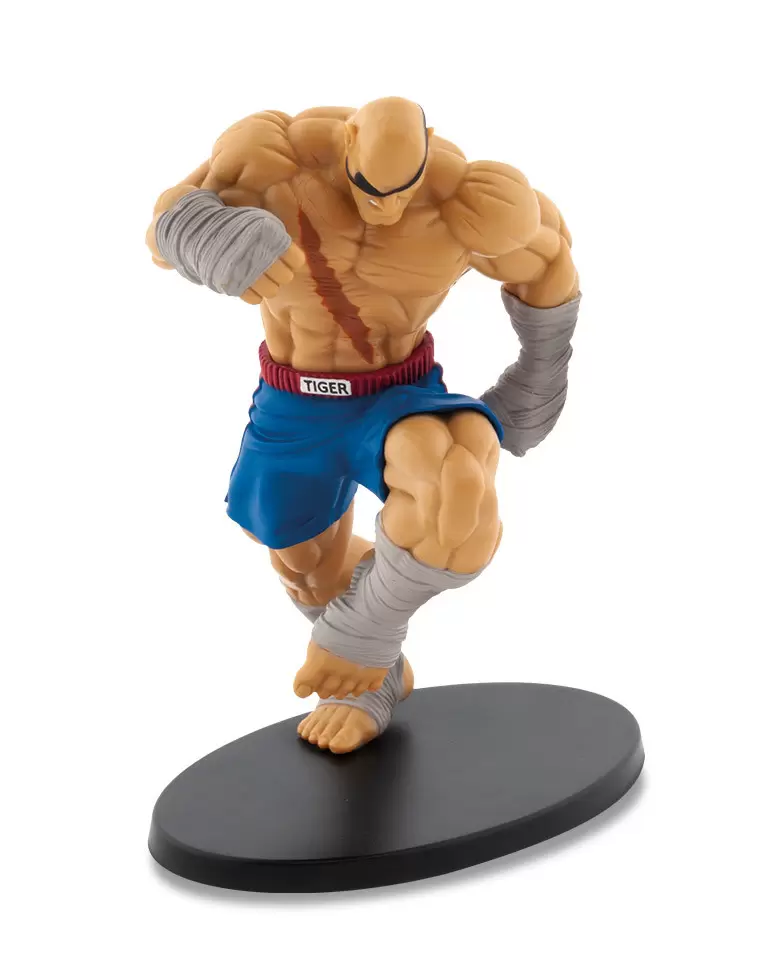 Figurines Street Fighter - Sagat