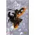 Marvel - Les Incontournables - Ghost Rider