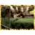 FIFA 365 - 2020 - Panini Bicycle Kick