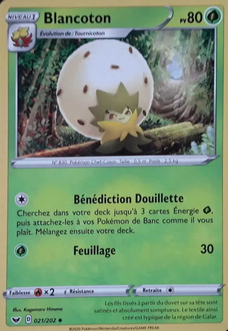Épée et Bouclier - Blancoton
