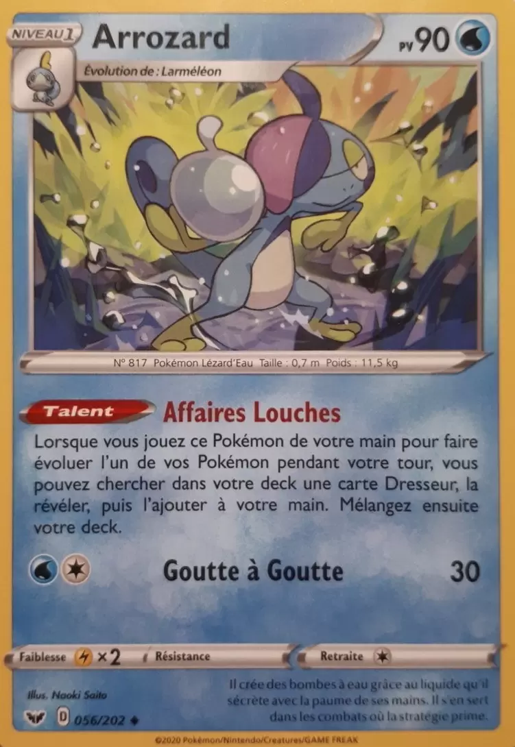Épée et Bouclier - Arrozard