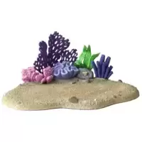 Base Coral Reef