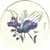 Splatter Bugs - wackers - Wacker 27B