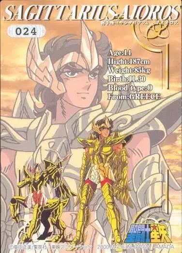 Amada  Card - Sagittarius Aioros