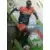 Víctor Hugo Montaño - Montpellier HSC