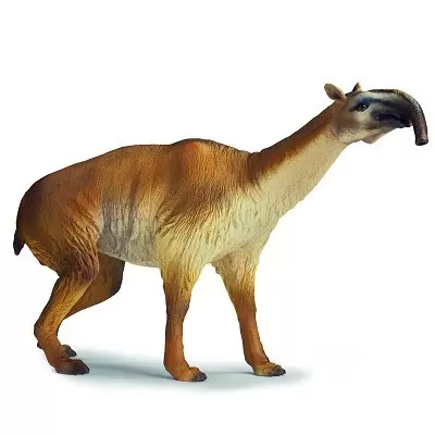 Dinosaurs - Macrauchenia