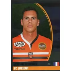Jeremie Aliadiere (puzzle 1) - FC Lorient