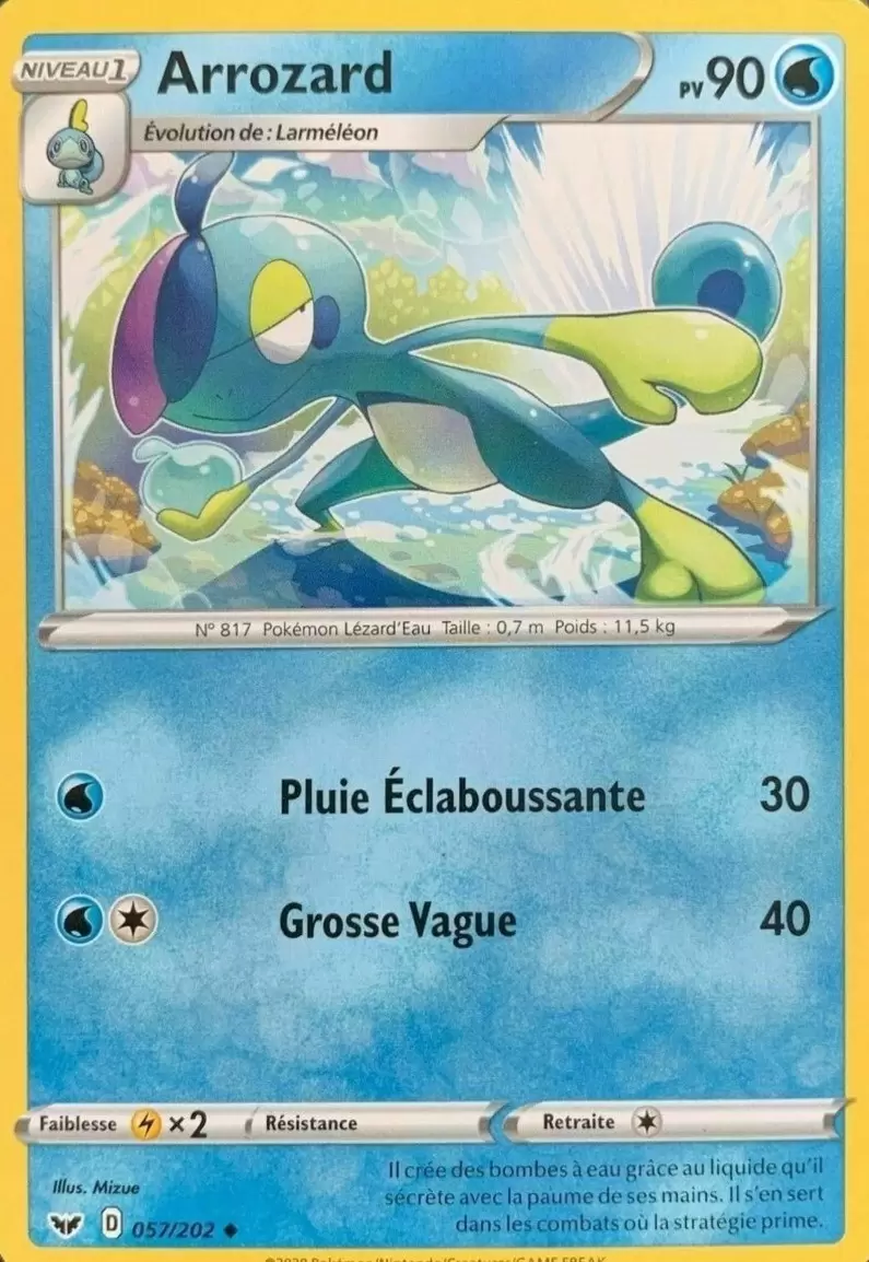 Épée et Bouclier - Arrozard