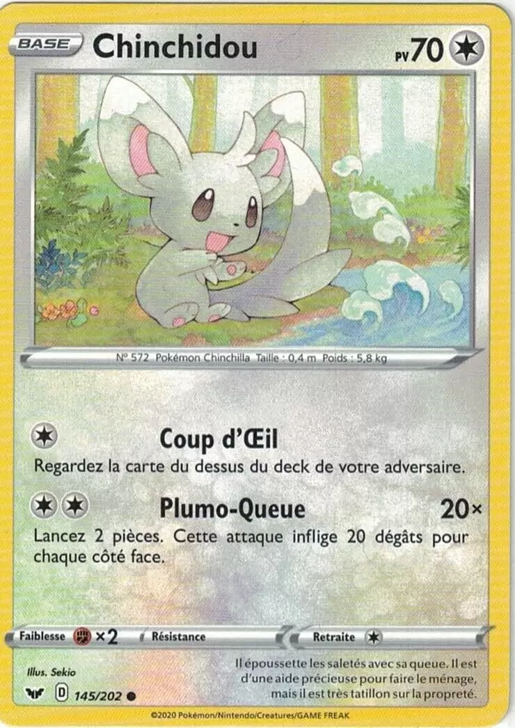 Épée et Bouclier - Chinchidou