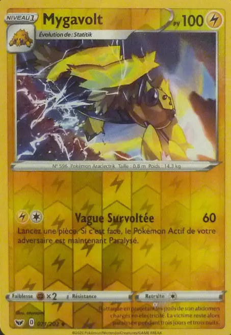 Épée et Bouclier - Mygavolt Reverse