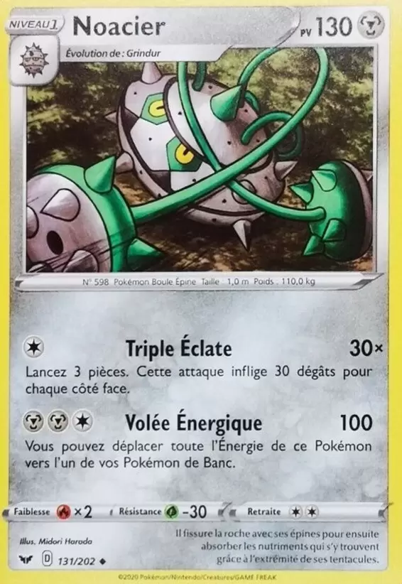 Épée et Bouclier - Noacier