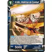 Krillin, Maîtrise de Combat