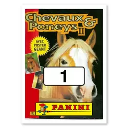 Image n°1