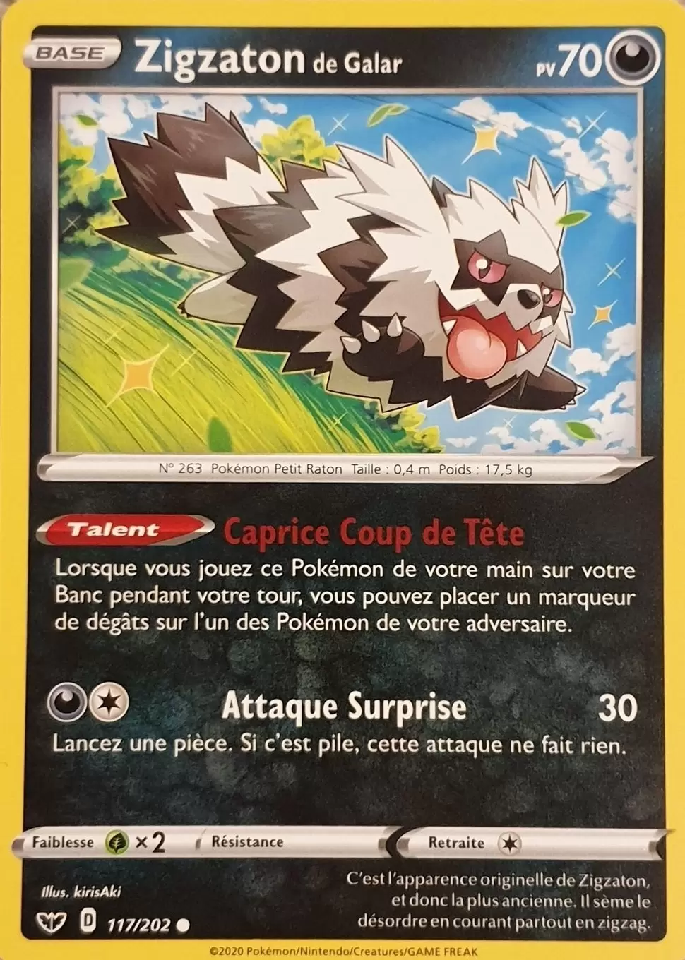Épée et Bouclier - Zigzaton de Galar