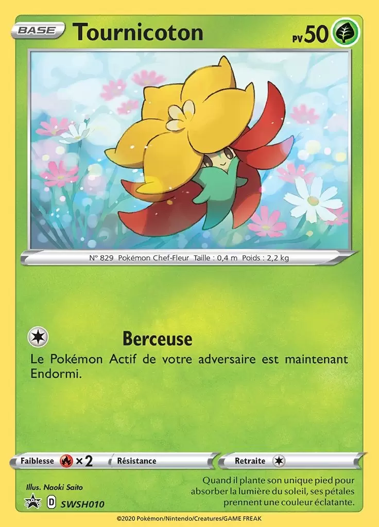 Cartes Promo Black Star Épée et Bouclier - Tournicoton