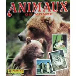 Sticker Album